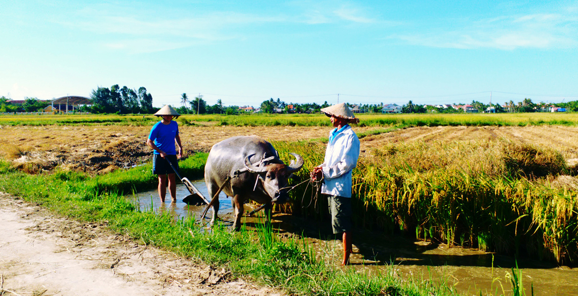 Hoi An Farming and Fishing Experience